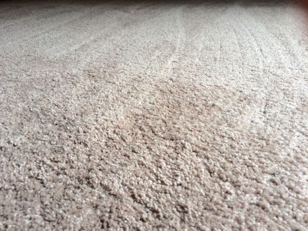 Plush Carpet Installation in Sun City