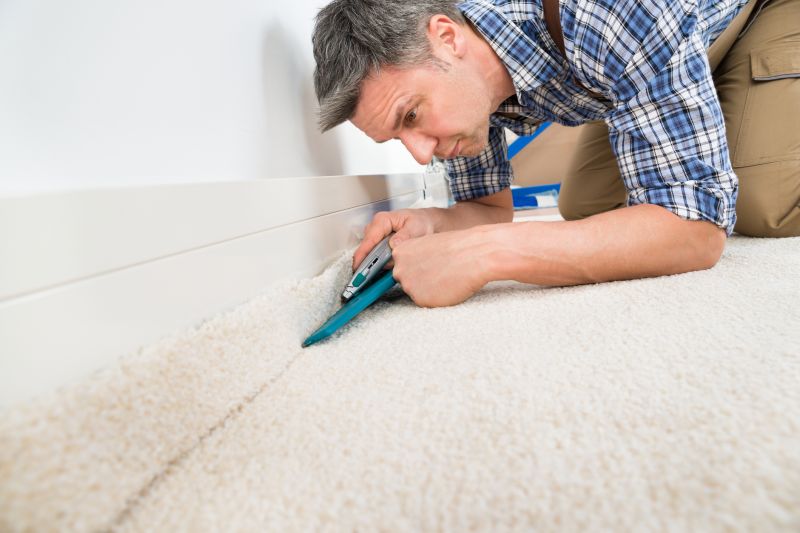 Professional Carpet Installer 2
