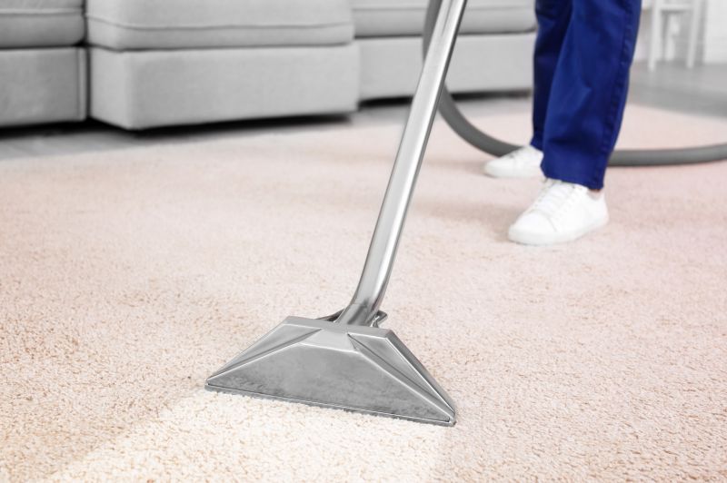 Local Carpet Cleaning Experts